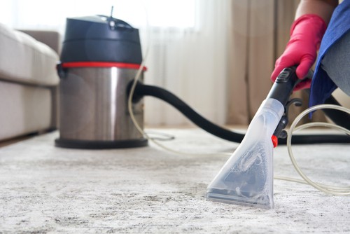 How To Find A Professional Carpet Cleaning Service?