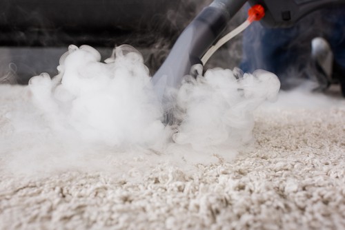 How Does Carpet Shampooing Work?