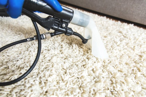 FAQ on professional carpet cleaning