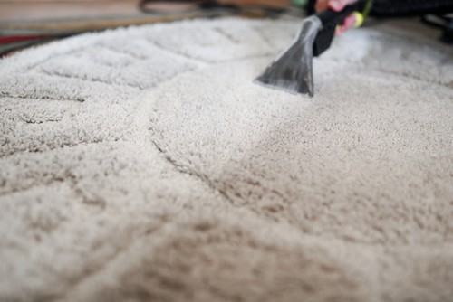 Rug Cleaning Tips for Pet Owners