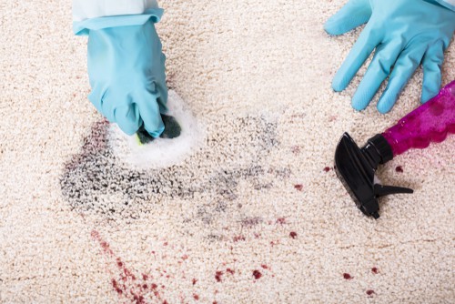 The Rug Cleaning Checklist (Essential Cleaning Steps