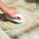 Avoiding Water Damage during Rug Cleaning