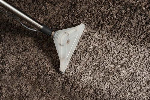 The Role of Regular Rug Cleaning in Preventing Pest Infestations