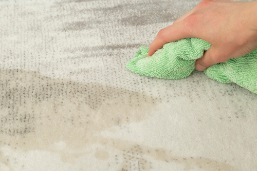 Creating a Rug Cleaning Schedule